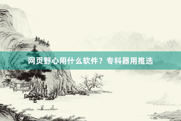 网页野心用什么软件？专科器用推选