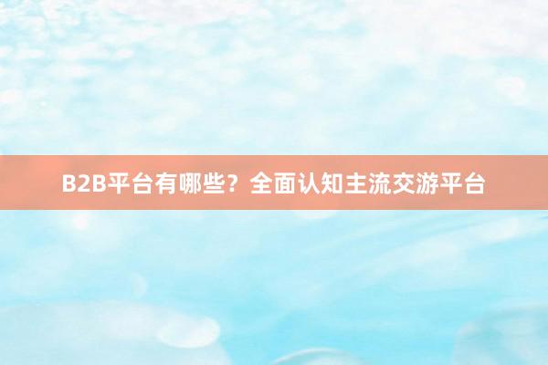 B2B平台有哪些？全面认知主流交游平台