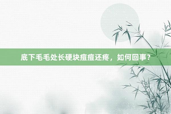 底下毛毛处长硬块痘痘还疼，如何回事？