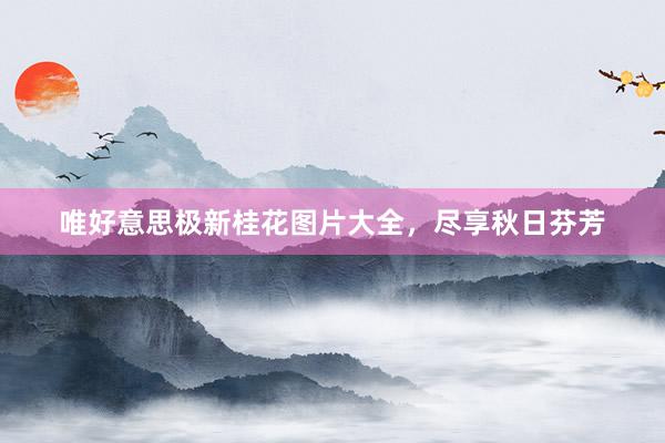 唯好意思极新桂花图片大全，尽享秋日芬芳