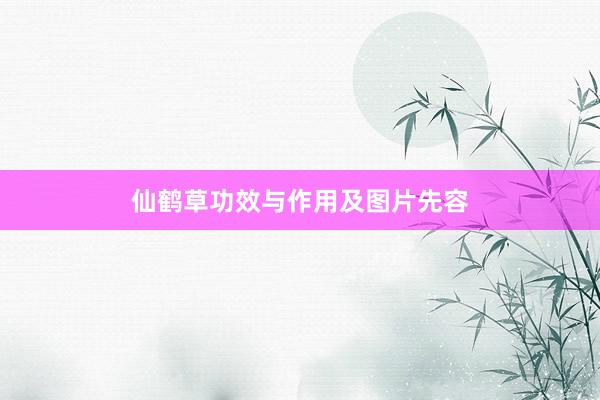 仙鹤草功效与作用及图片先容